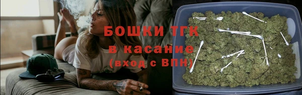 прущие грибы Кулебаки