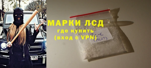 прущие грибы Кулебаки
