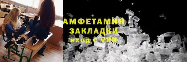 прущие грибы Кулебаки
