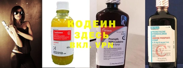 прущие грибы Кулебаки