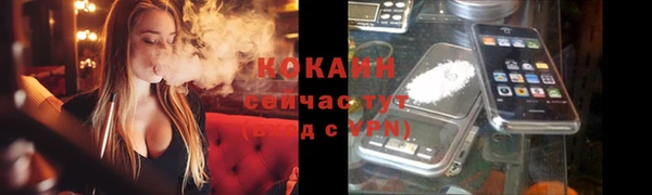 прущие грибы Кулебаки