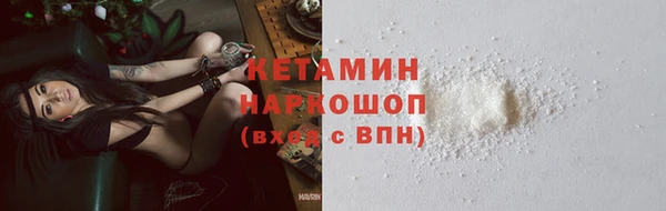 прущие грибы Кулебаки