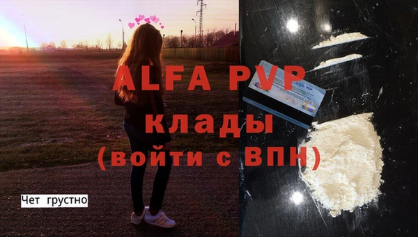 прущие грибы Кулебаки