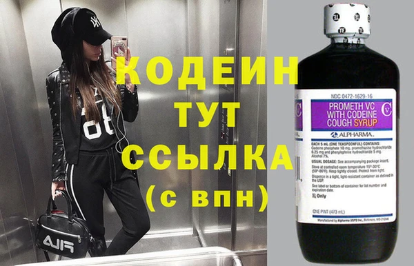 прущие грибы Кулебаки