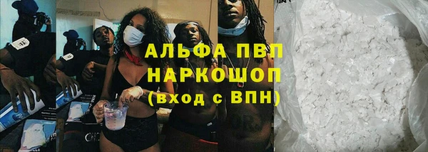 прущие грибы Кулебаки