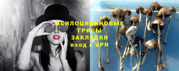 прущие грибы Кулебаки