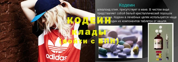 прущие грибы Кулебаки