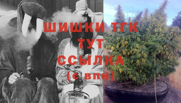 прущие грибы Кулебаки