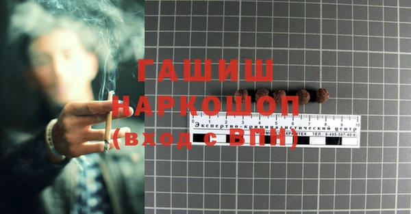 прущие грибы Кулебаки