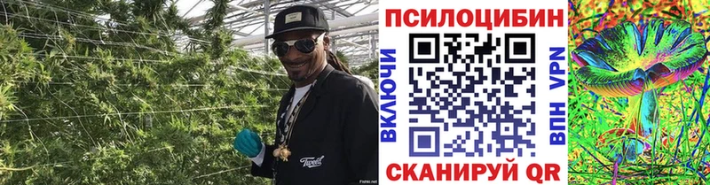 Галлюциногенные грибы GOLDEN TEACHER  Купить  Воркута 